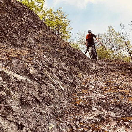 - Restaurant Bastenhaus Dannenfels