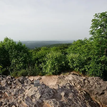 - Restaurant Bastenhaus 4*