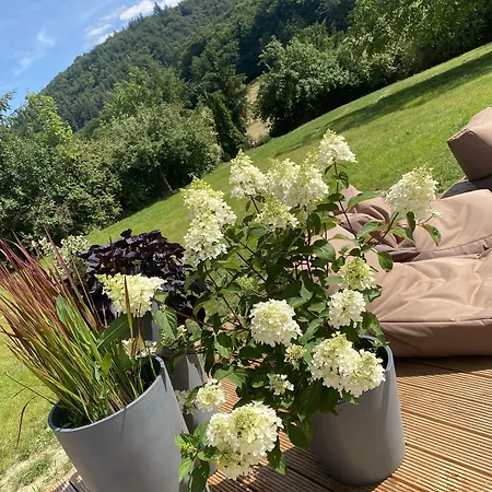 ホテル - Restaurant Bastenhaus 4*