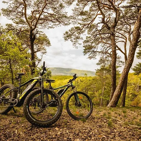 - Restaurant Bastenhaus Hotel 4*