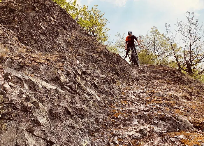 Verwöhnhotel Bastenhaus Dannenfels