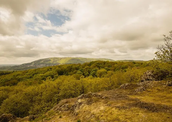 - Restaurant Bastenhaus 酒店 4*