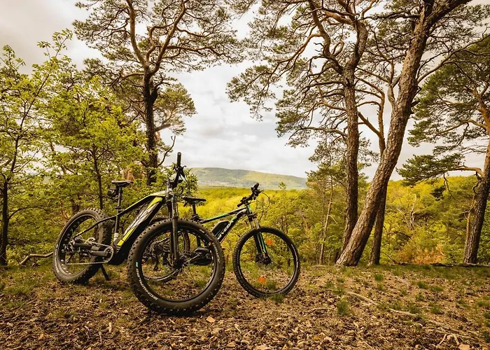 - Restaurant Bastenhaus Hotel 4*